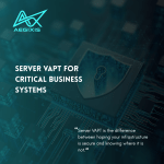 Server VAPT assessment for web, file, database, and application servers