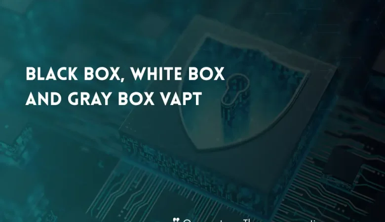 Black Box, White Box, and Gray Box VAPT Explained