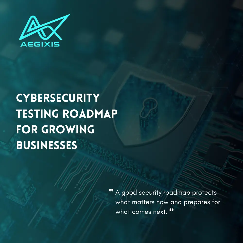 Cybersecurity testing roadmap for a small and growing business progressing from basic security checks to structured VAPT